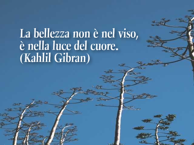 La bellezza non è nel viso, è nella luce del cuore. (Kahlil Gibran)
