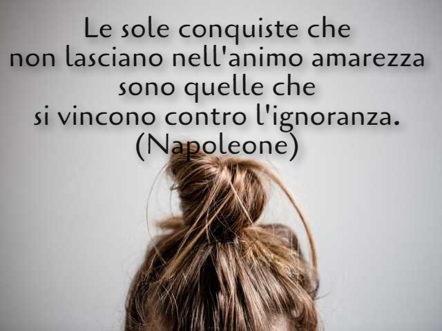 Le sole conquiste che non lasciano nell'animo amarezza sono quelle che si vincono contro l'ignoranza. (Napoleone)