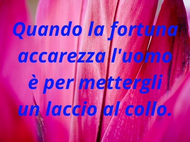 Quando la fortuna accarezza l'uomo è per mettergli un laccio al collo.