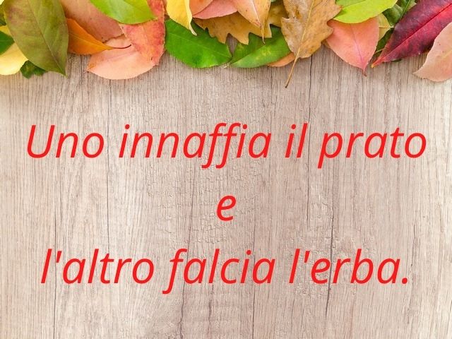 Uno innaffia il prato e l'altro falcia l'erba.