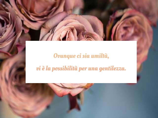Ovunque ci sia umiltà, vi è la possibilità per una gentilezza.