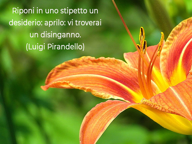 Riponi in uno stipetto un desiderio: aprilo: vi troverai un disinganno.(Luigi Pirandello)