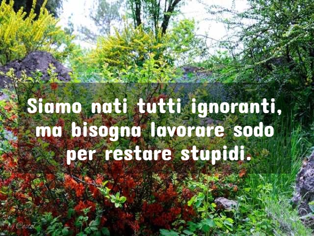 Siamo nati tutti ignoranti ma bisogna lavorare sodo per restare stupidi.