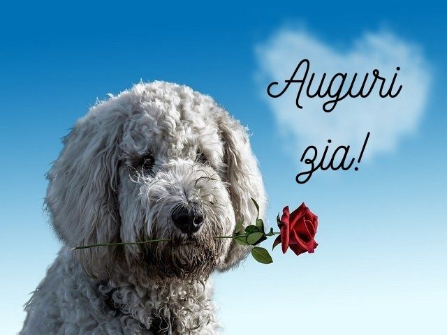 Auguri zia!