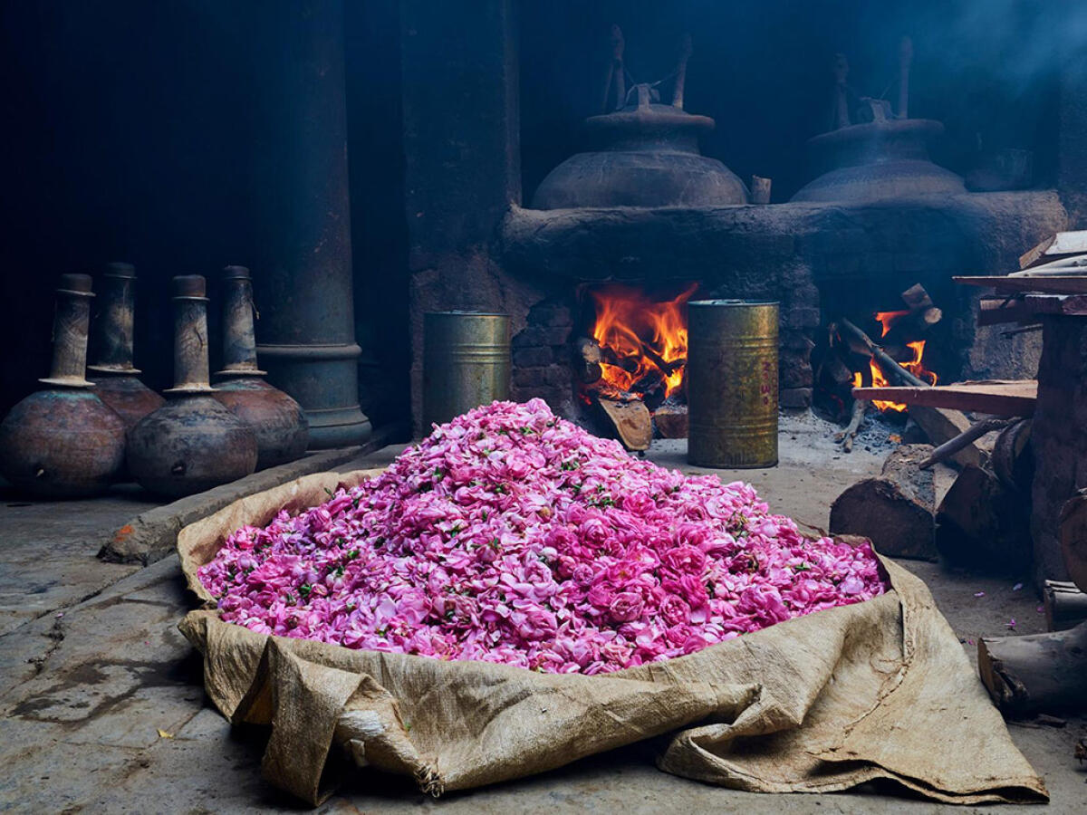 La capitale del profumo in India: Kannauj e la tradizione dell'Attar - Credits: Tuul and Bruno Morandi