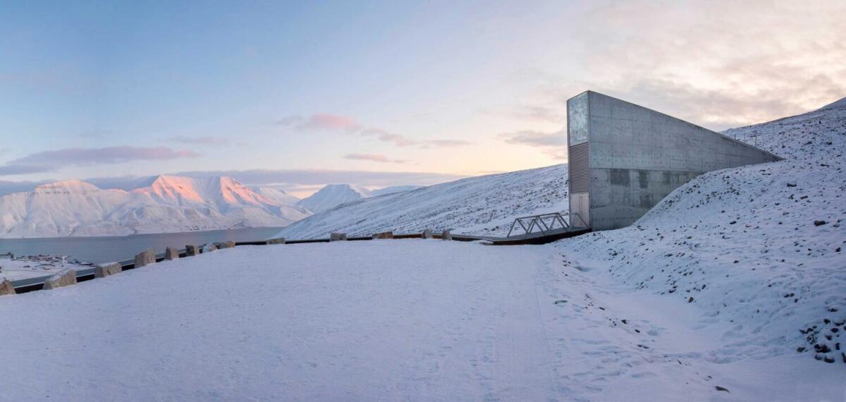 Svalbard Global Seed Vault: un deposito per la biodiversità alimentare - 