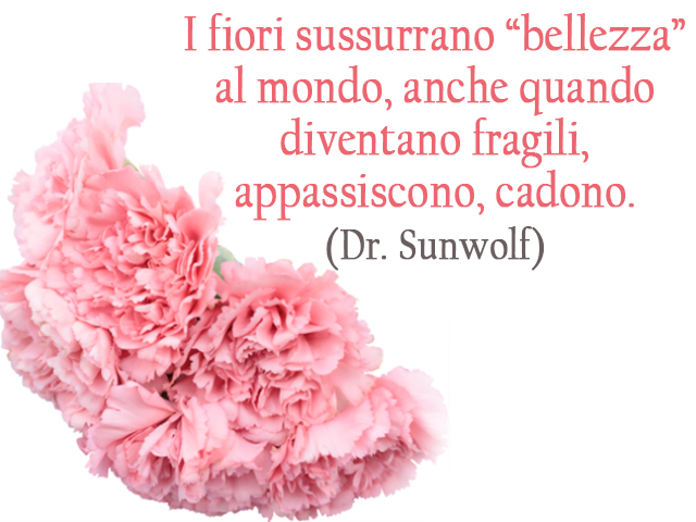 I fiori sussurrano “bellezza” al mondo, anche quando diventano fragili, appassiscono, cadono.(Dr. Sunwolf)