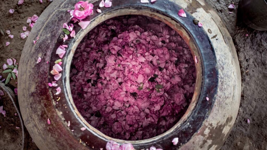 Credits: perfumery.co.in
