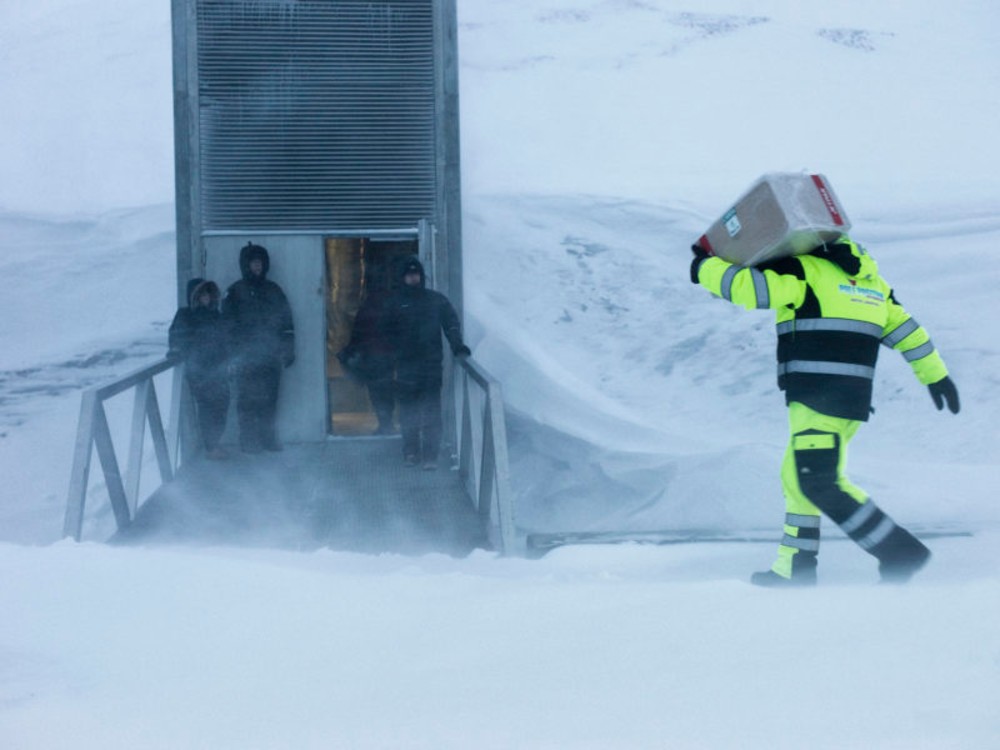 Credits: www.seedvault.no