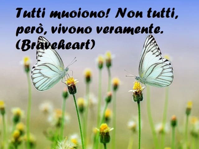 Tutti muoiono! Non tutti però, vivono veramente. (Braveheart)