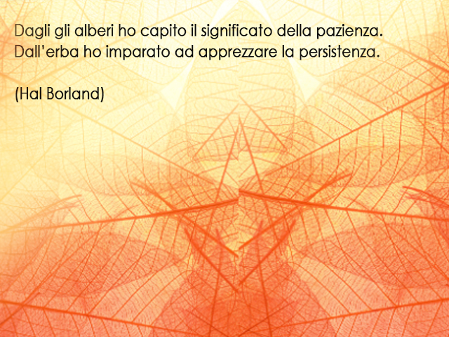 Dagli gli alberi ho capito il significato della pazienza. Dall’erba ho imparato ad apprezzare la persistenza.(Hal Borland)