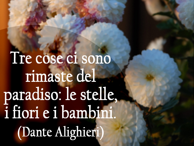Tre cose ci sono rimaste del paradiso: le stelle, i fiori e i bambini.(Dante Alighieri)