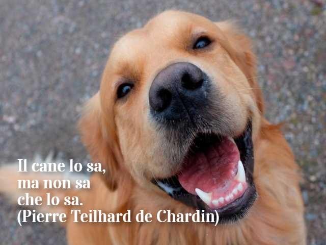 Il cane lo sa, ma non sa che lo sa.(Pierre Teilhard de Chardin)