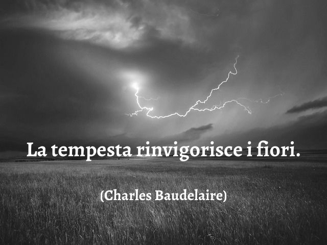 La tempesta rinvigorisce i fiori.(Charles Baudelaire)
