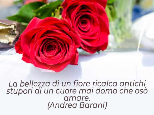 La bellezza di un fiore ricalca antichi stupori di un cuore mai domo che osò amare.(Andrea Barani)