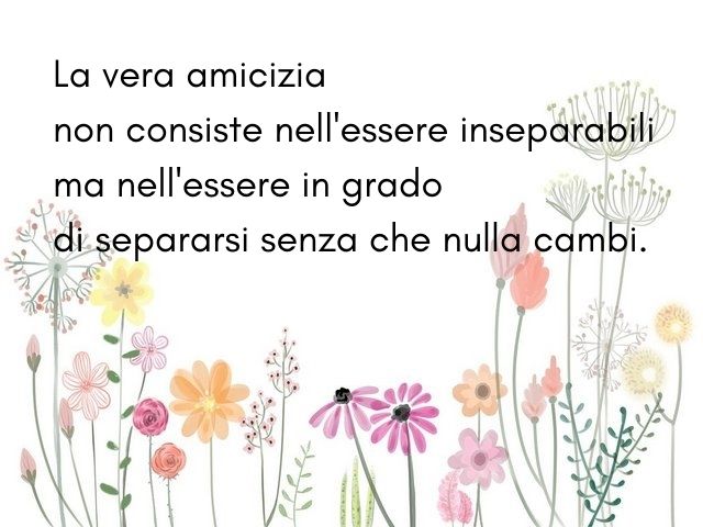 La vera amicizia non consiste nell'essere inseparabili ma nell'essere in grado di separarsi senza che nulla cambi.
