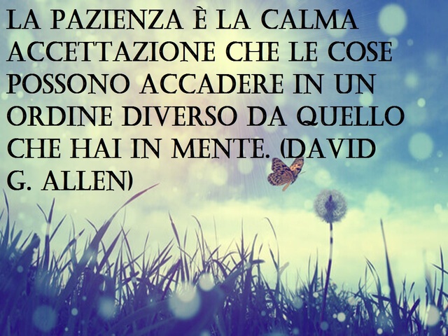 La pazienza è la calma accettazione che le cose possono accadere in un ordine diverso da quello che hai in mente.(David G. Allen)