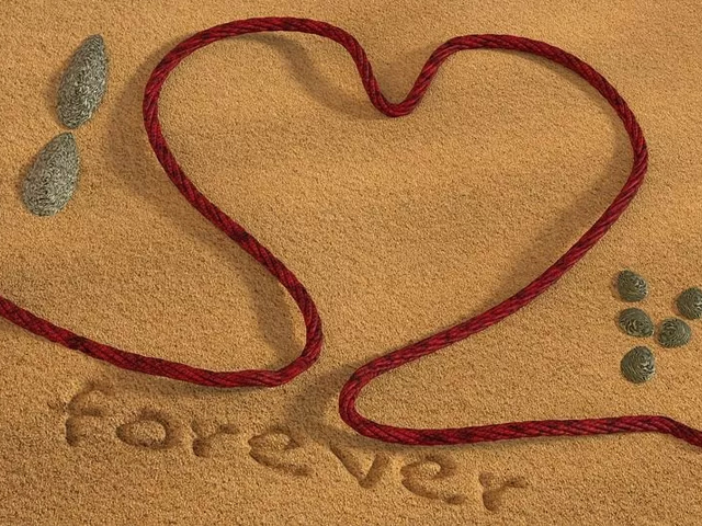Forever (Per sempre)