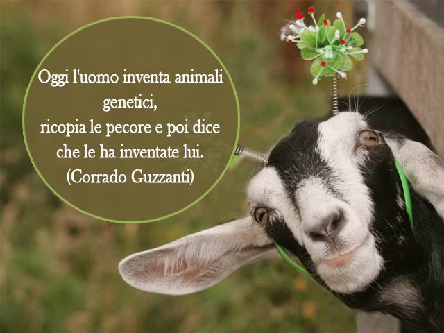 Oggi l'uomo inventa animali genetici, ricopia le pecore e poi dice che le ha inventate lui.(Corrado Guzzanti)