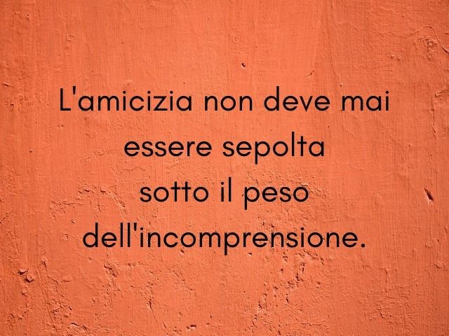L'amicizia non deve mai essere sepolta sotto il peso dell'incomprensione.