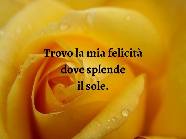 Trovo la mia felicità dove splende il sole.