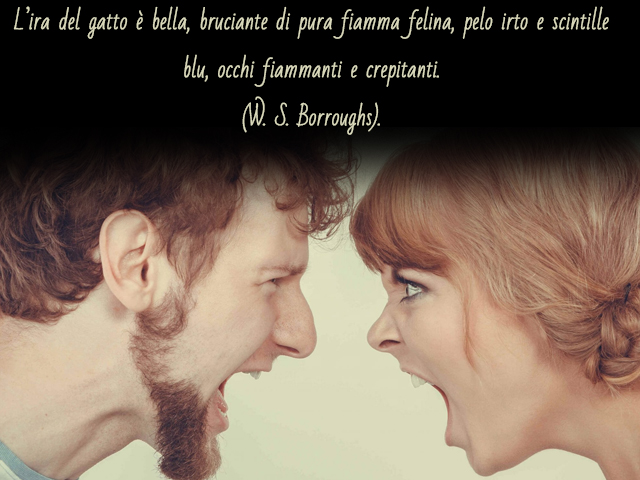 L’ira del gatto è bella, bruciante di pura fiamma felina, pelo irto e scintille blu, occhi fiammanti e crepitanti.(W. S. Borroughs)