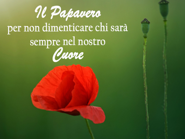 Il Papaveroper non dimenticare chi sarà sempre nel nostro Cuore.