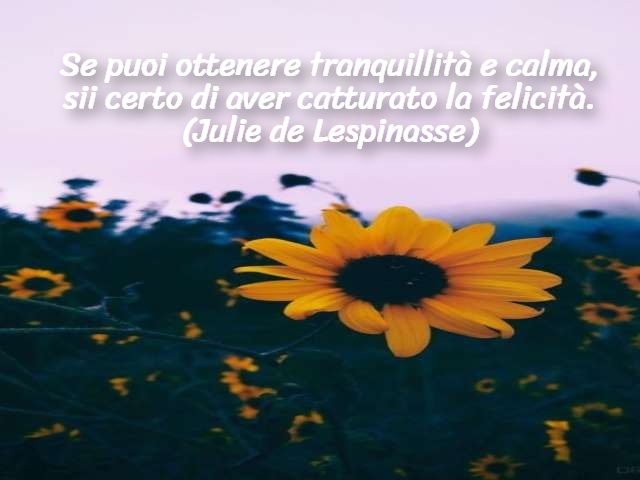 Se puoi ottenere tranquillità e calma, sii certo di aver catturato la felicità.(Julie de Lespinasse)