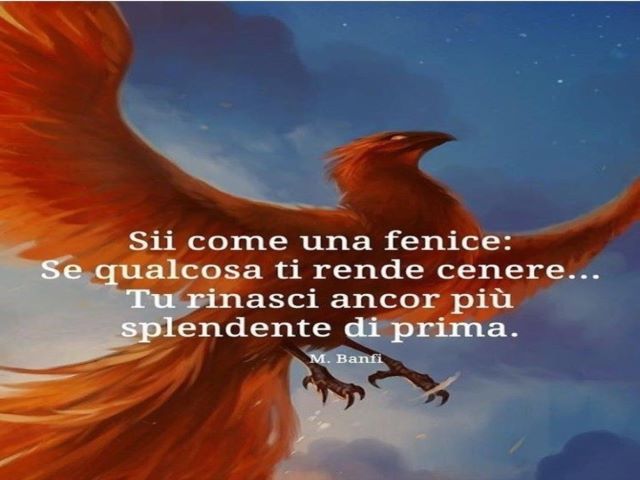 Sii come una felice: qualcosa ti rende cenere, tu rinasci ancor più splendente di prima.(M.Banfi)