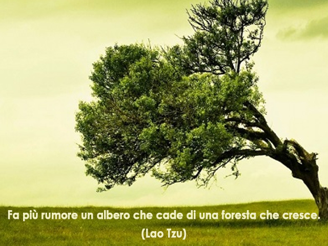 Fa più rumore un albero che cade di una foresta che cresce.(Lao Tzu)