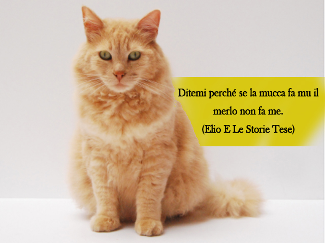 Ditemi perché se la mucca fa mu il merlo non fa me.(Elio E Le Storie Tese)