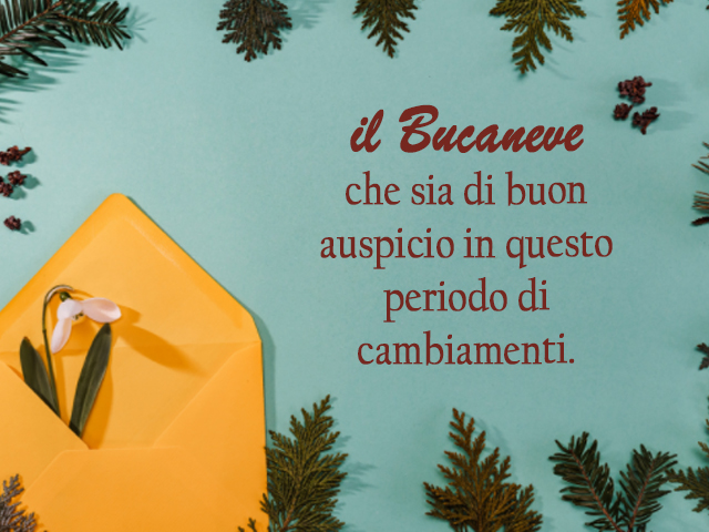 Il Bucaneveche sia di buon auspicio in questo periodo di cambiamenti.