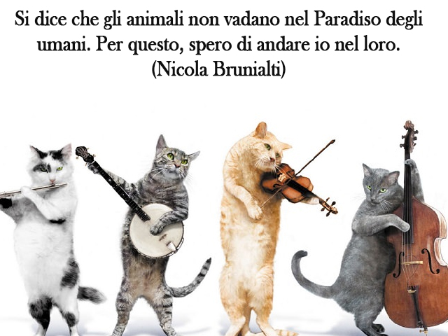 Si dice che gli animali non vadano nel Paradiso degli umani. Per questo, spero di andare io nel loro.(Nicola Brunialti)