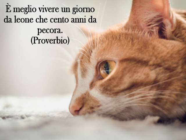 È meglio vivere un giorno da leone che cento anni da pecora.(Proverbio)