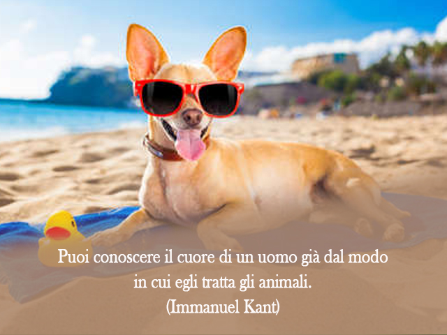 Puoi conoscere il cuore di un uomo già dal modo in cui egli tratta gli animali.(Immanuel Kant)