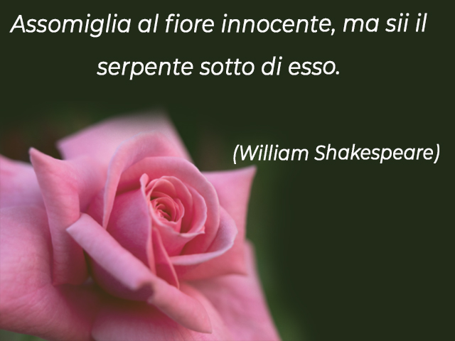 Assomiglia al fiore innocente, ma sii il serpente sotto di esso.(William Shakespeare)