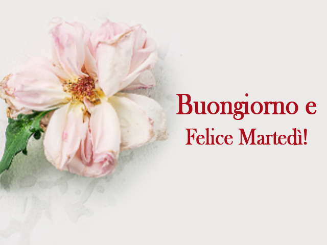 Buongiorno e Felice Martedì.