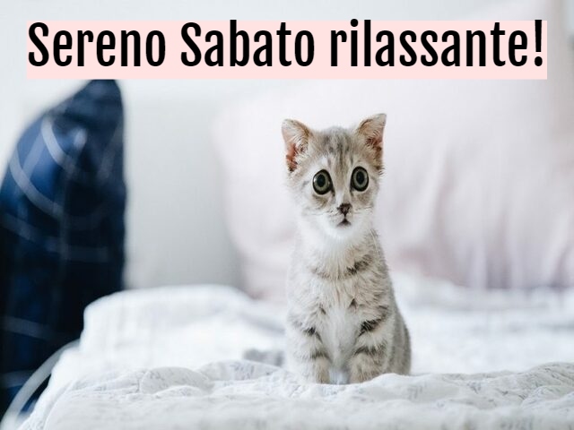 Sereno Sabato rilassante!
