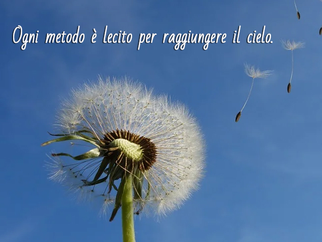 Ogni metodo è lecito per raggiungere il cielo.