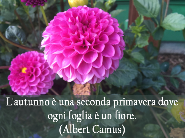 L'autunno è una seconda primavera dove ogni foglia è un fiore.(Albert Camus)