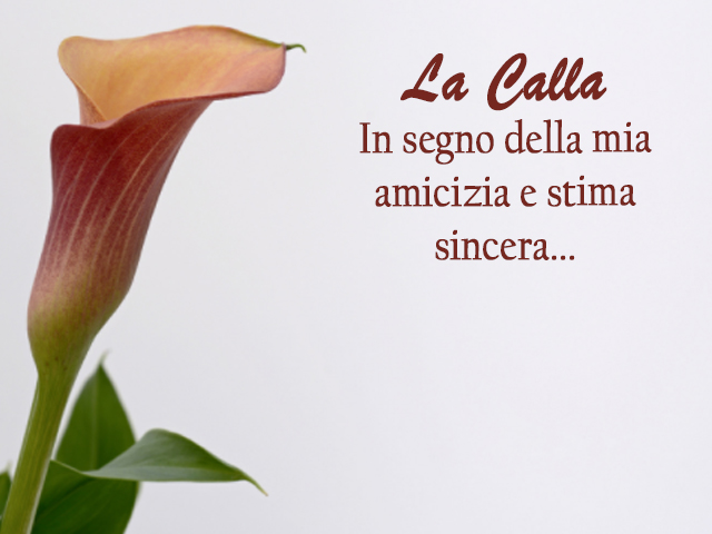 La CallaIn segno della mia amicizia e stima sincera...