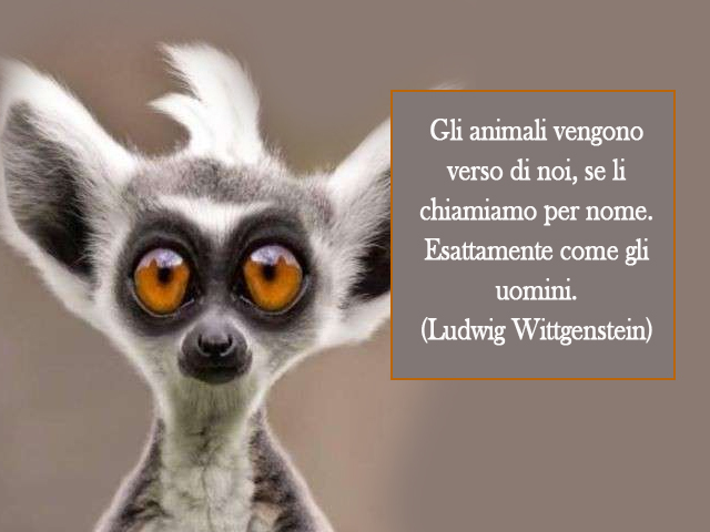 Gli animali vengono verso di noi, se li chiamiamo per nome. Esattamente come gli uomini.(Ludwig Wittgenstein)