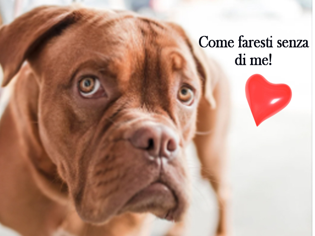 Come faresti senza di me!
