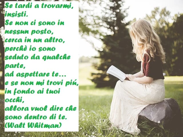 Se tardi a trovarmi, insisti. Se non ci sono in nessun posto, cerca in un altro, perché io sono seduto da qualche parte, ad aspettare te... e se non mi trovi più, in fondo ai tuoi occhi, allora vuol dire che sono dentro di te. (Walt Whitman)