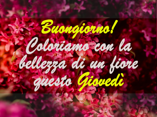 Buongiorno! Coloriamo con la bellezza di un fiore questo Giovedì.