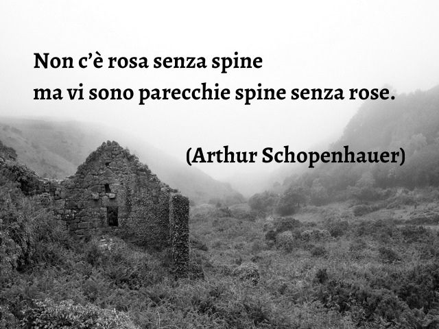 Non c’è rosa senza spine ma vi sono parecchie spine senza rose.(Arthur Schopenhauer)