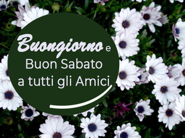 Buongiorno e Buon Sabato a tutti gli amici.