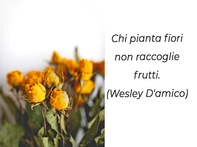 Chi pianta fiori non raccoglie frutti.(Wesley D'amico)