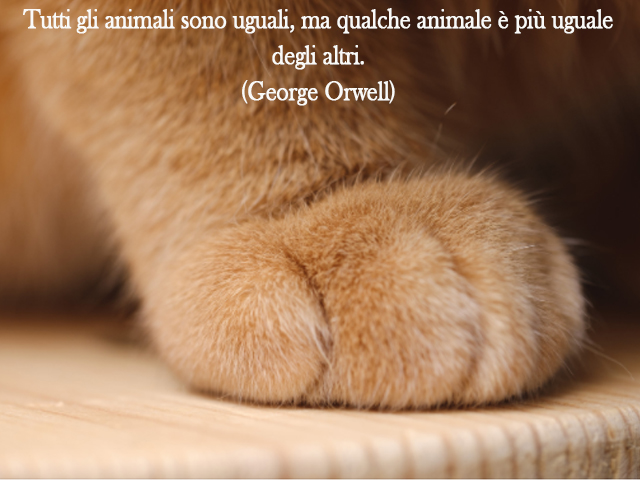 Tutti gli animali sono uguali, ma qualche animale è più uguale degli altri.(George Orwell)