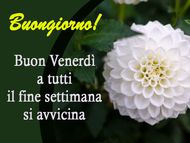 Buongiorno! Buon Venerdì a Tutti il fine settimana si avvicina.